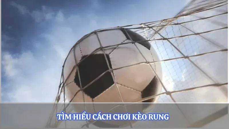 Tìm hiểu cách chơi kèo rung
